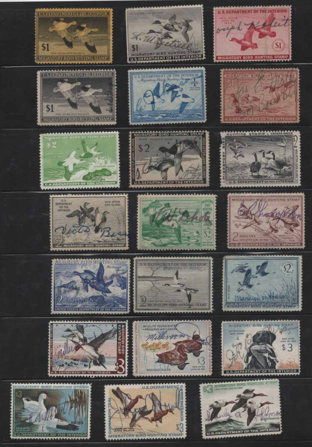 US 1930s-1980s COLLECTION OF 56 FEDERAL DUCK HUNTING STAMPS USED FEW UNSIGNED