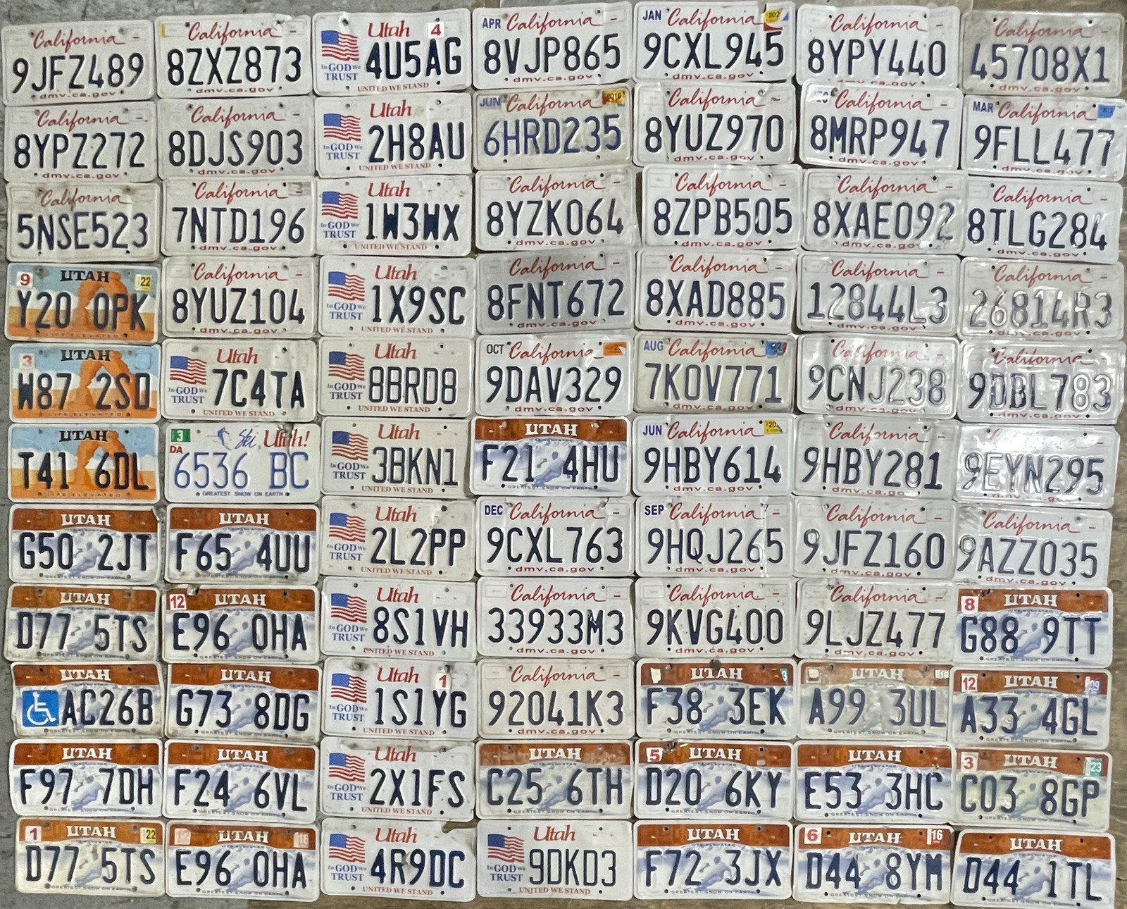 BULK LOT of  77 ROADKILL condition License Plates. FAST SHIPPING! Exact in Photo