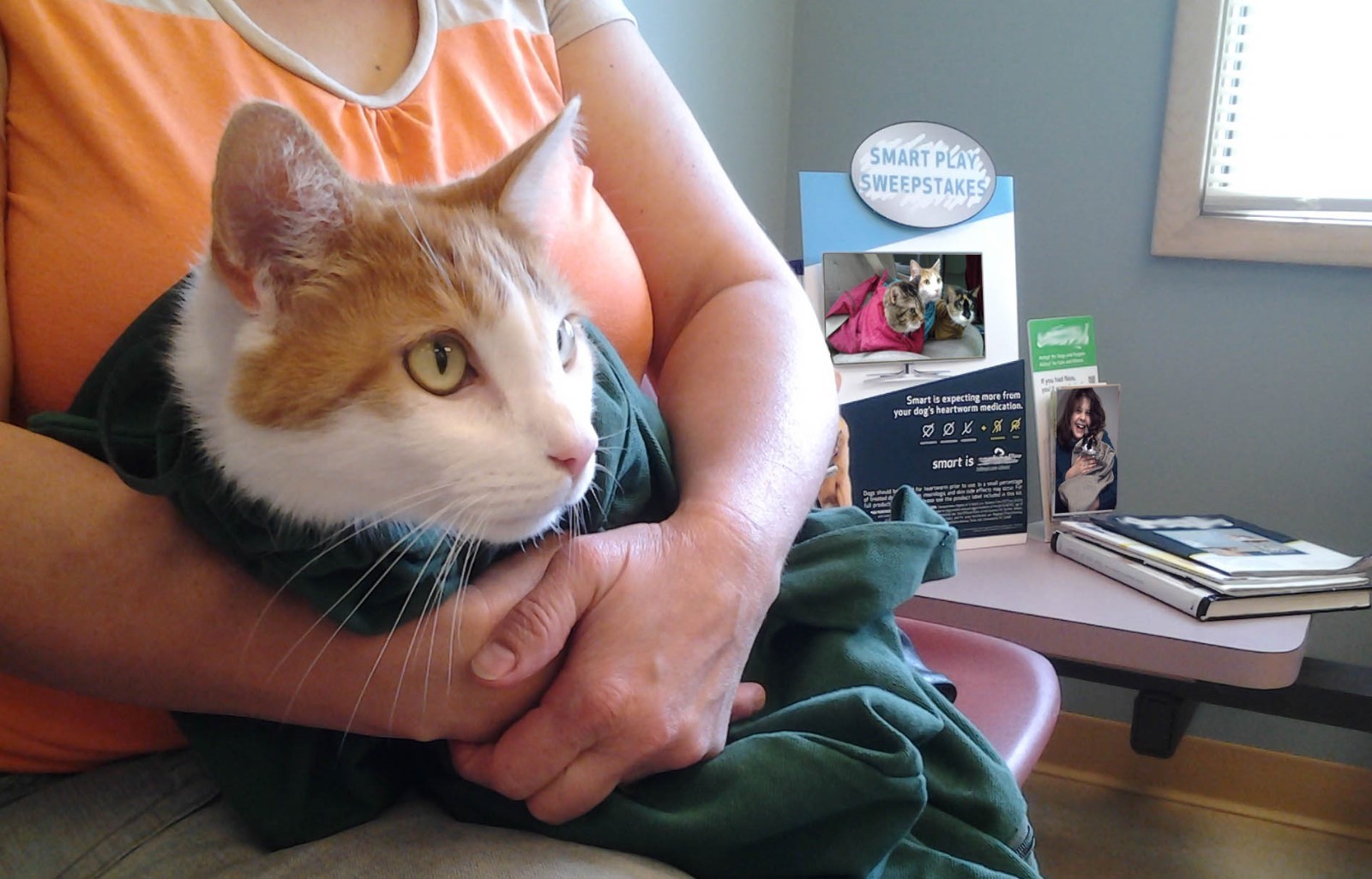 Cat-in-the-bag Cozy Comfort Carrier