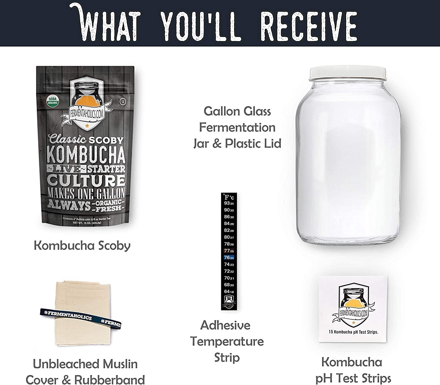 Kombucha Essentials Kit - ORGANIC SCOBY - Brew kombucha at Home