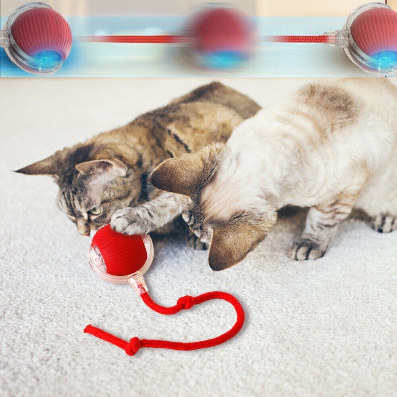 Automatic Rolling Ball Smart Cat Dog Toy Electric Pet Self-Moving Kitten (RED)