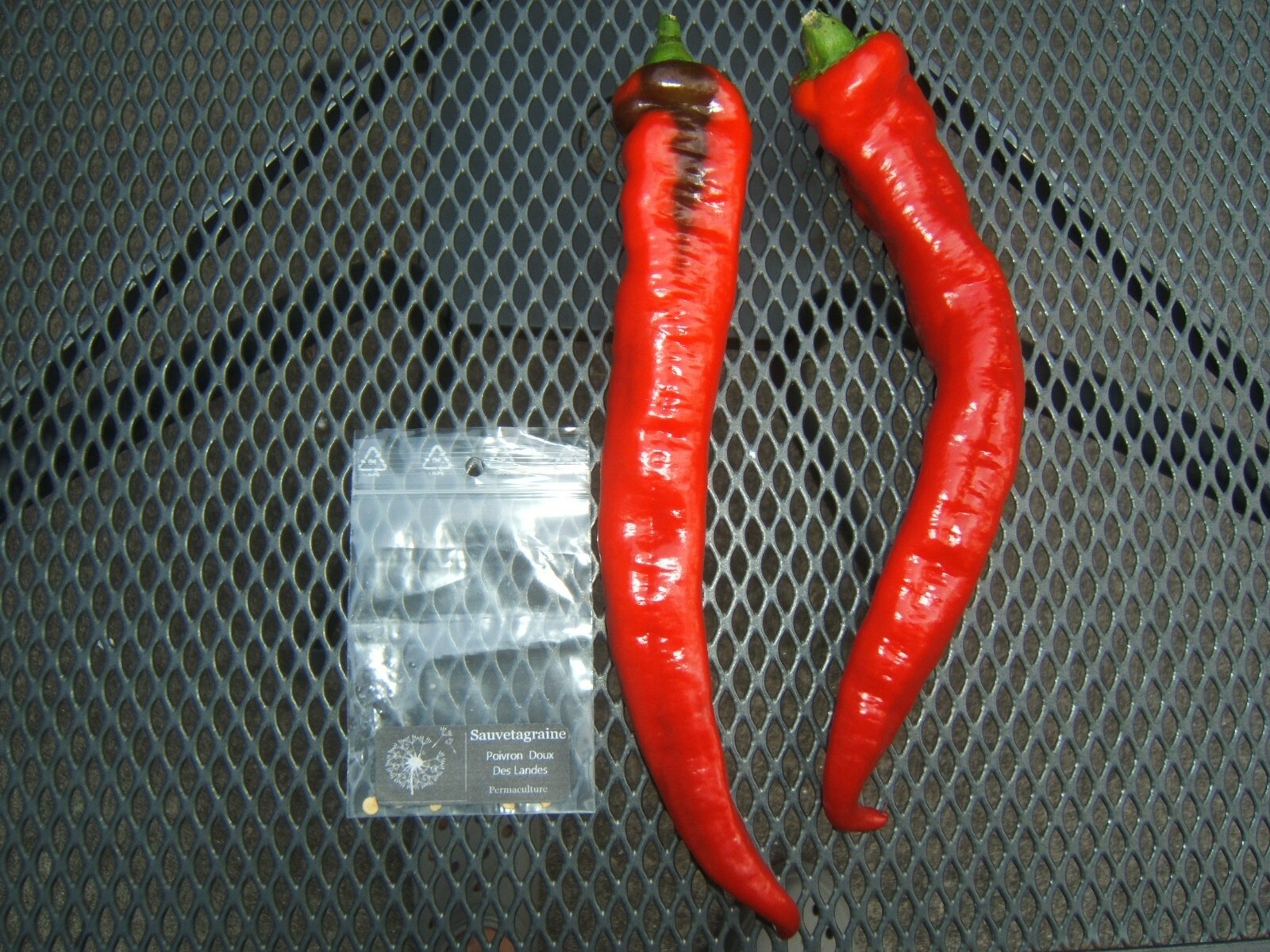 Doux des Landes Fresh Organically Grown Heirloom Sweet Pepper Seeds (20)