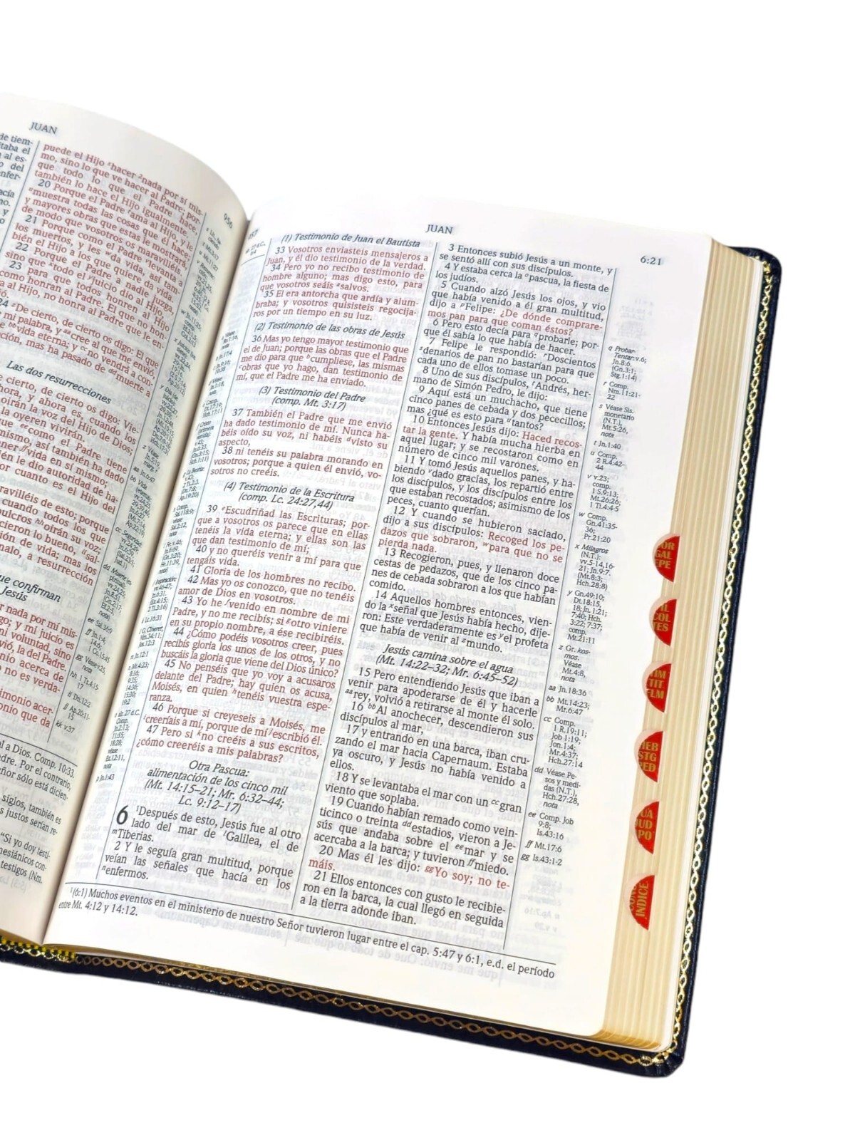 Nueva Biblia De Estudio Scofield RVR.1960 Ampliada Piel Genuina Negro Índice