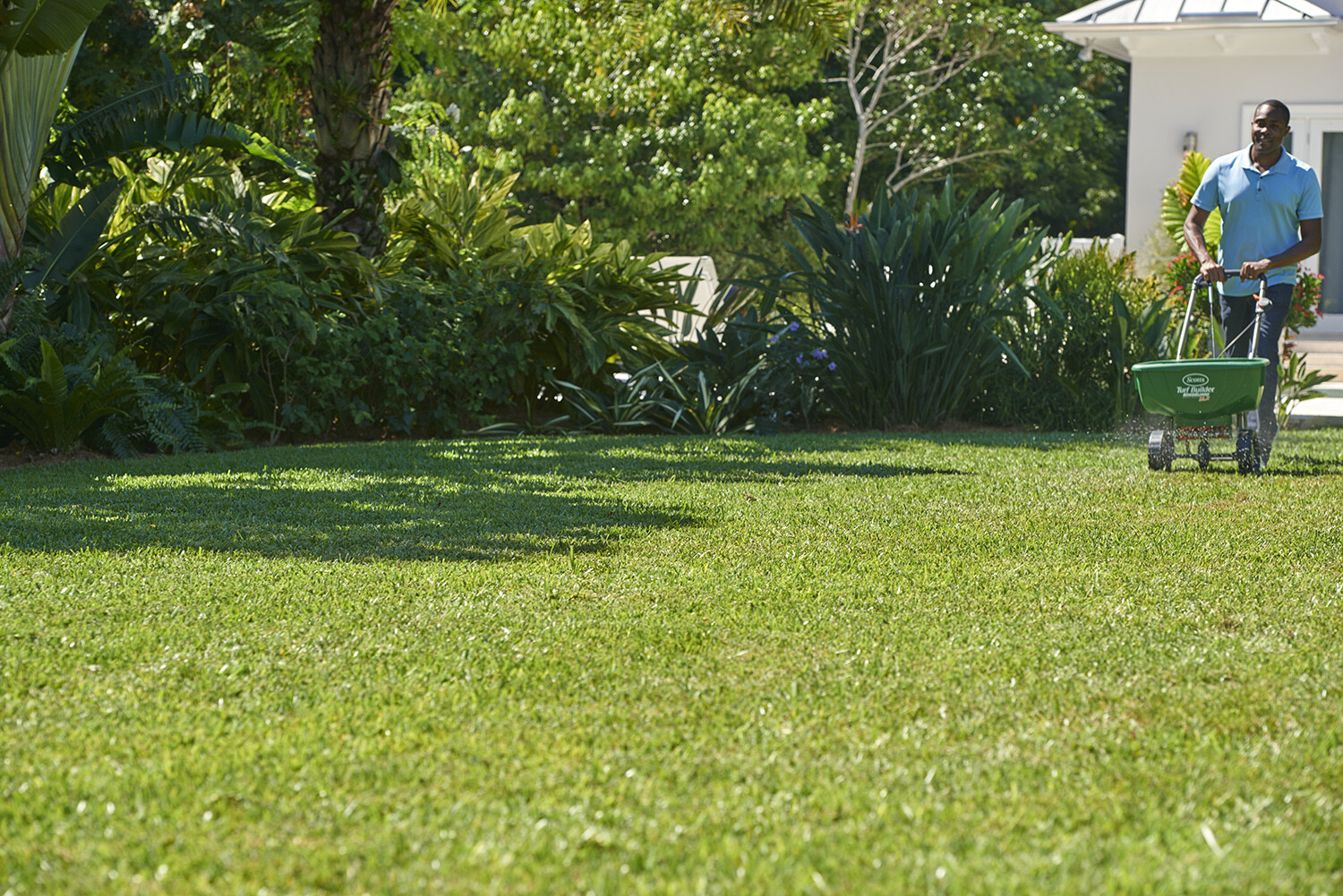 Scotts Southern Turf Builder Lawn Food 28.12 lbs. Covers 10,000 sq. ft.