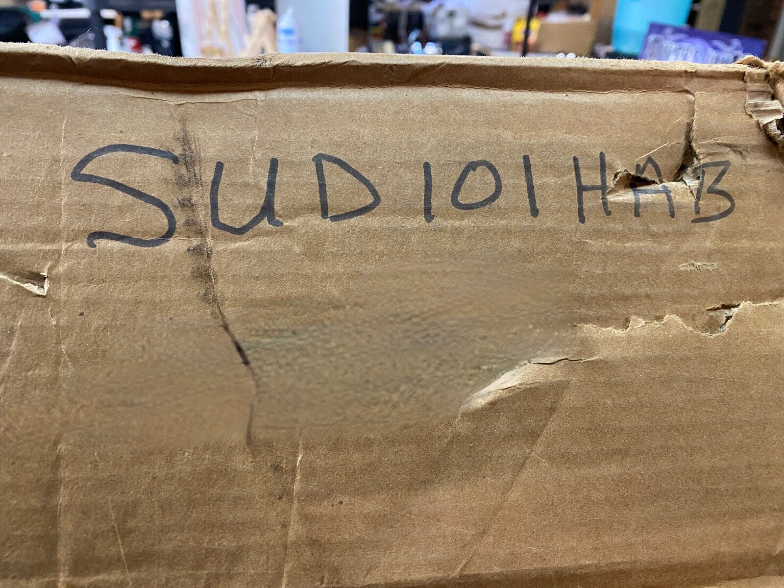 Harley-Davidson Bike Straight Up Stand