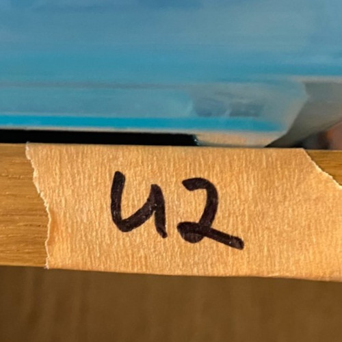 hexbug ant inchworm spider remote hex bug pre-owned