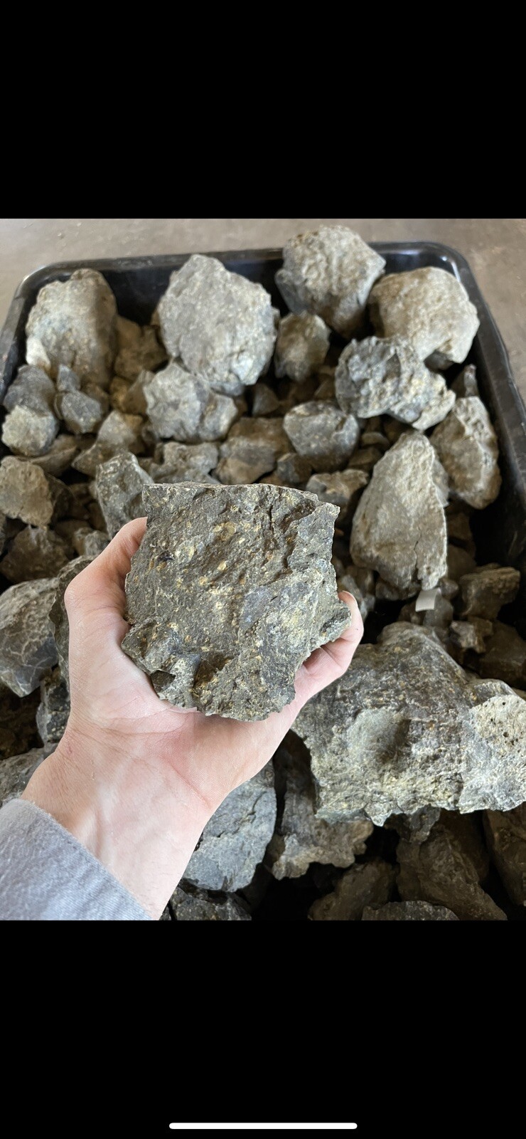 3 lbs Lamproite Diamond Ore Arkansas Diamonds Crater of Diamonds.