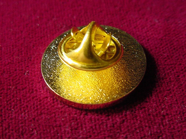 U S Department of State Lapel Pin DOS -Color Seal- Free Shipping in US