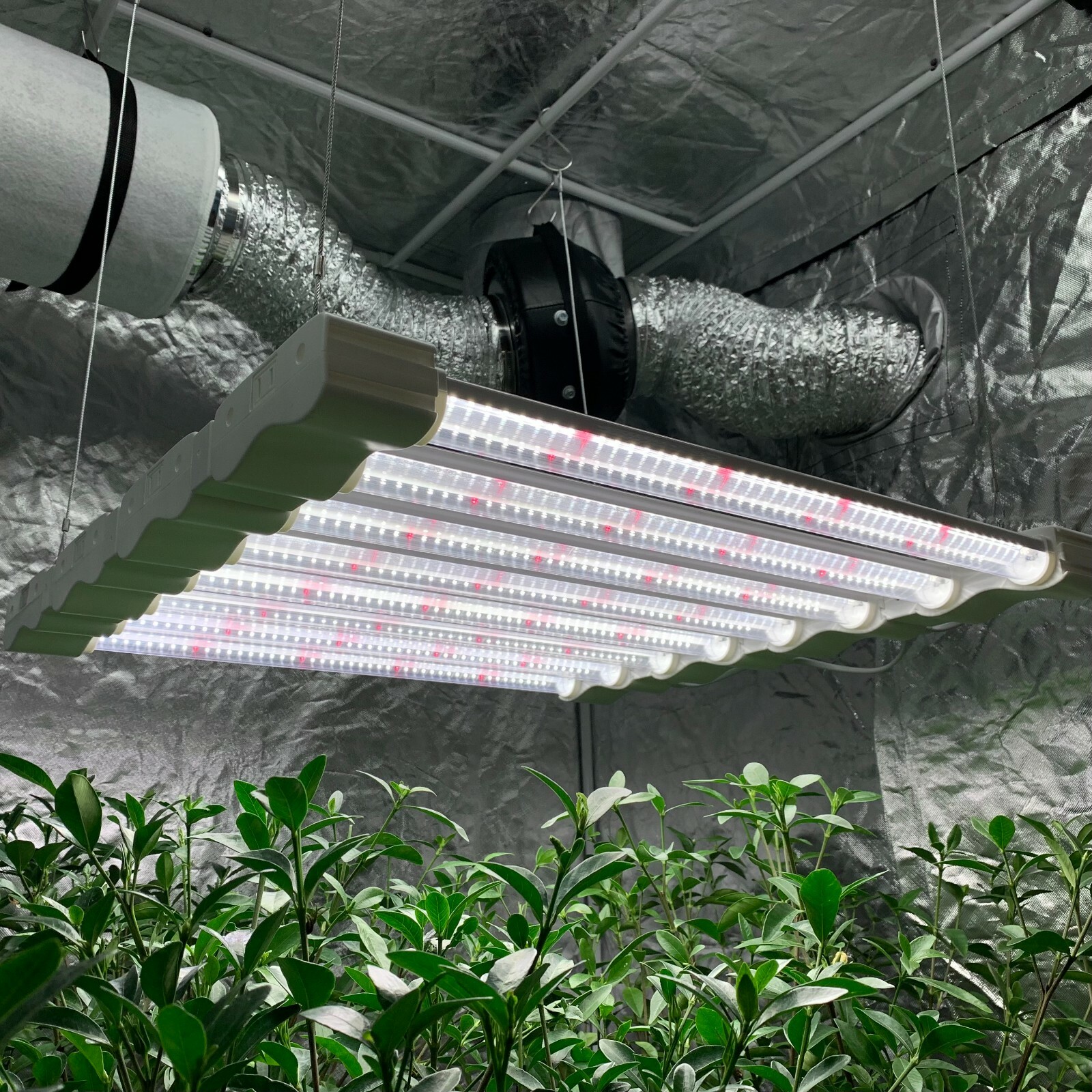 LED Grow Light Full Spectrum Linkable Seedling Veg Hydroponic Growing Lamp