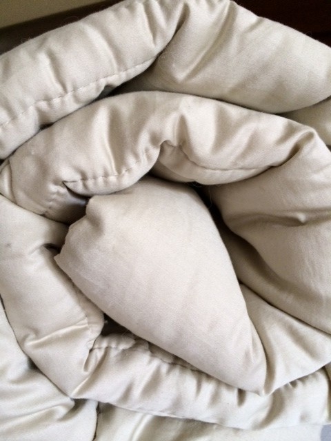 Certified Organic Cotton Merino Wool Comforter Duvet Four Seasons Sleep Beyond