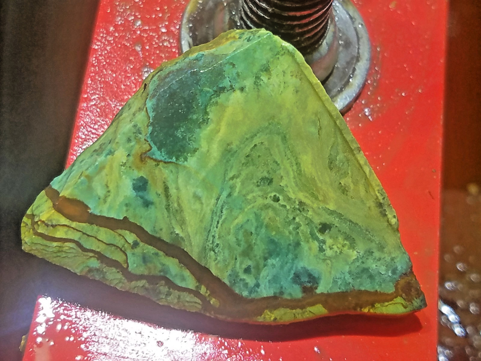 AAA Oregon Vistaite Jasper Slab VIBRANT COLORS Cabochon Gemstone Lapidary DzT051