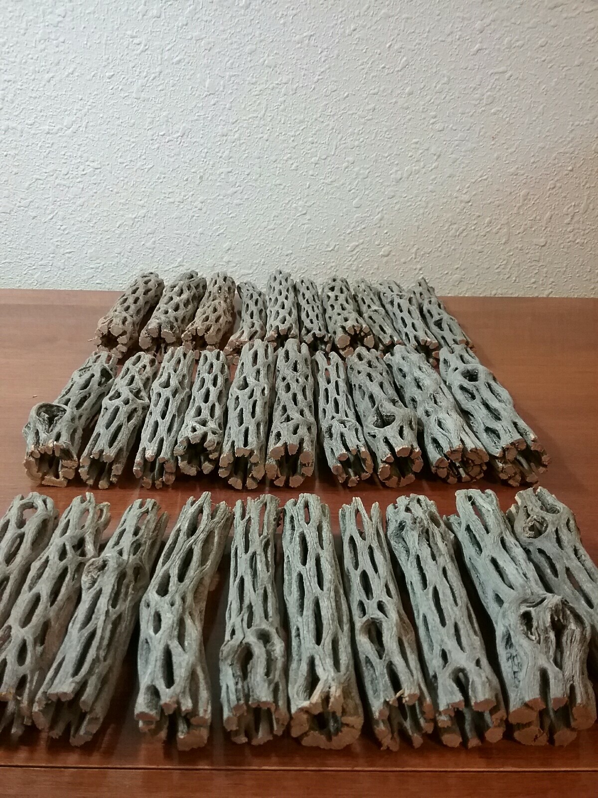 NEW 30 pcs CHOLLA Wood | 3 Sizes Multi-Pack | Organic Driftwood | Craft Aquarium