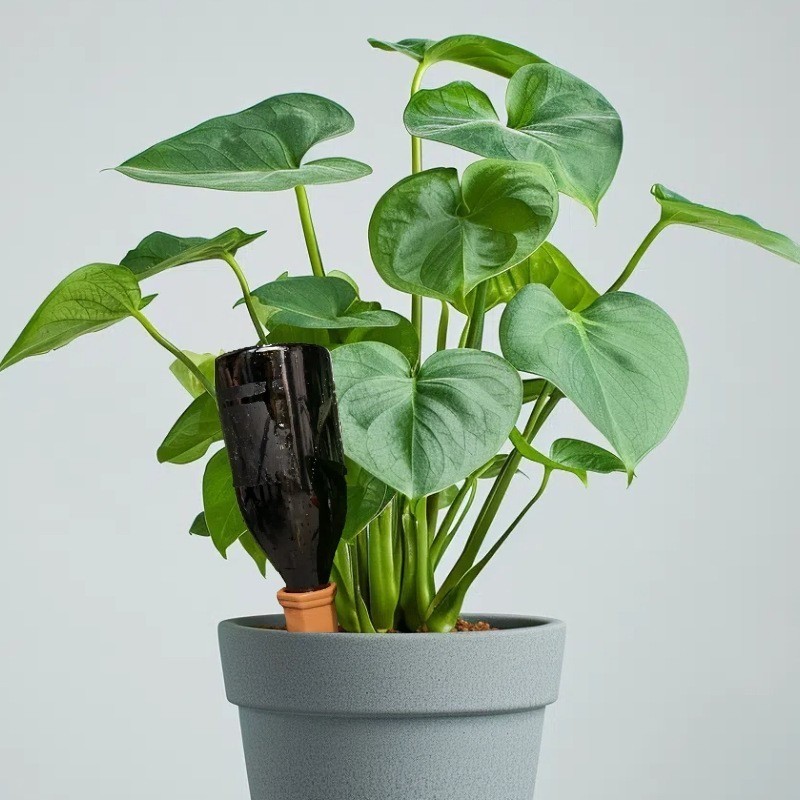 Plant Watering Spikes 12 Pack Terracotta Plant Watering Spikes Wine Bottle Autom