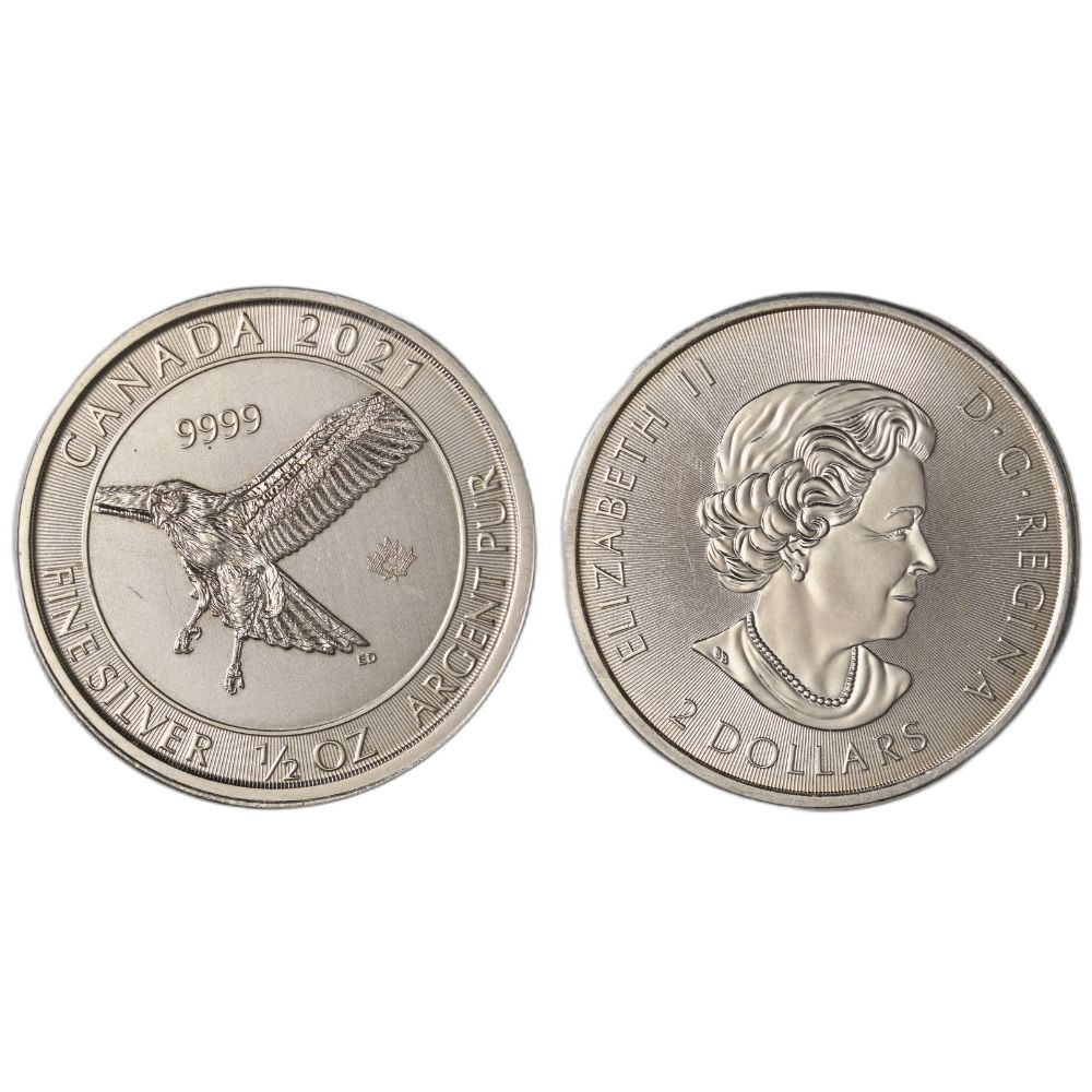 1/2 oz Silver Coin (Varied Condition, Any Mint)