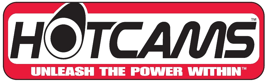 TRX400EX TRX 400EX 400X Stage 2 Two Hotcam Hot Cam Camshaft Timing Chain Bearing