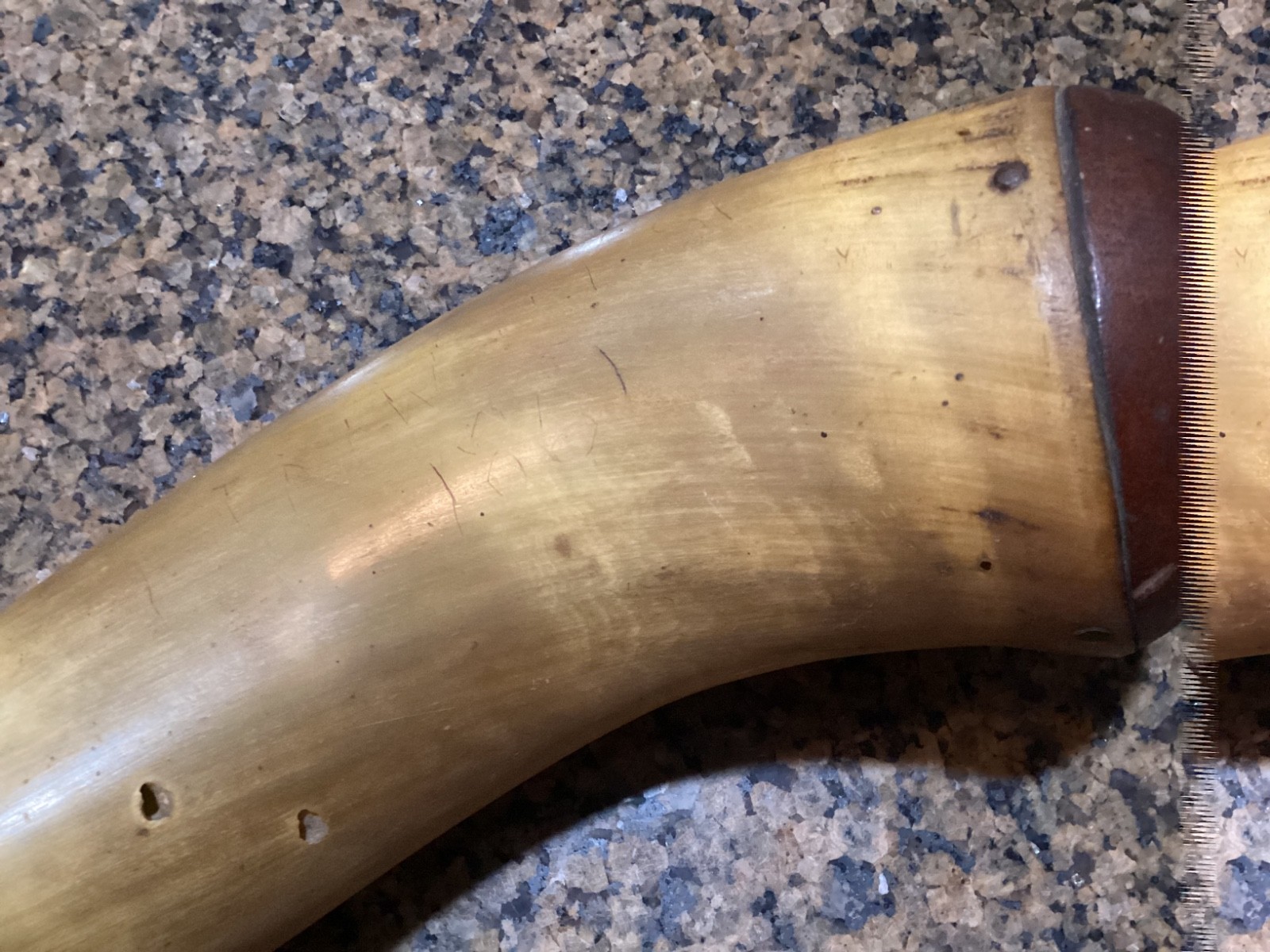 Large 18” Antique Powder Horn Engraved 1st New Jersey 1861