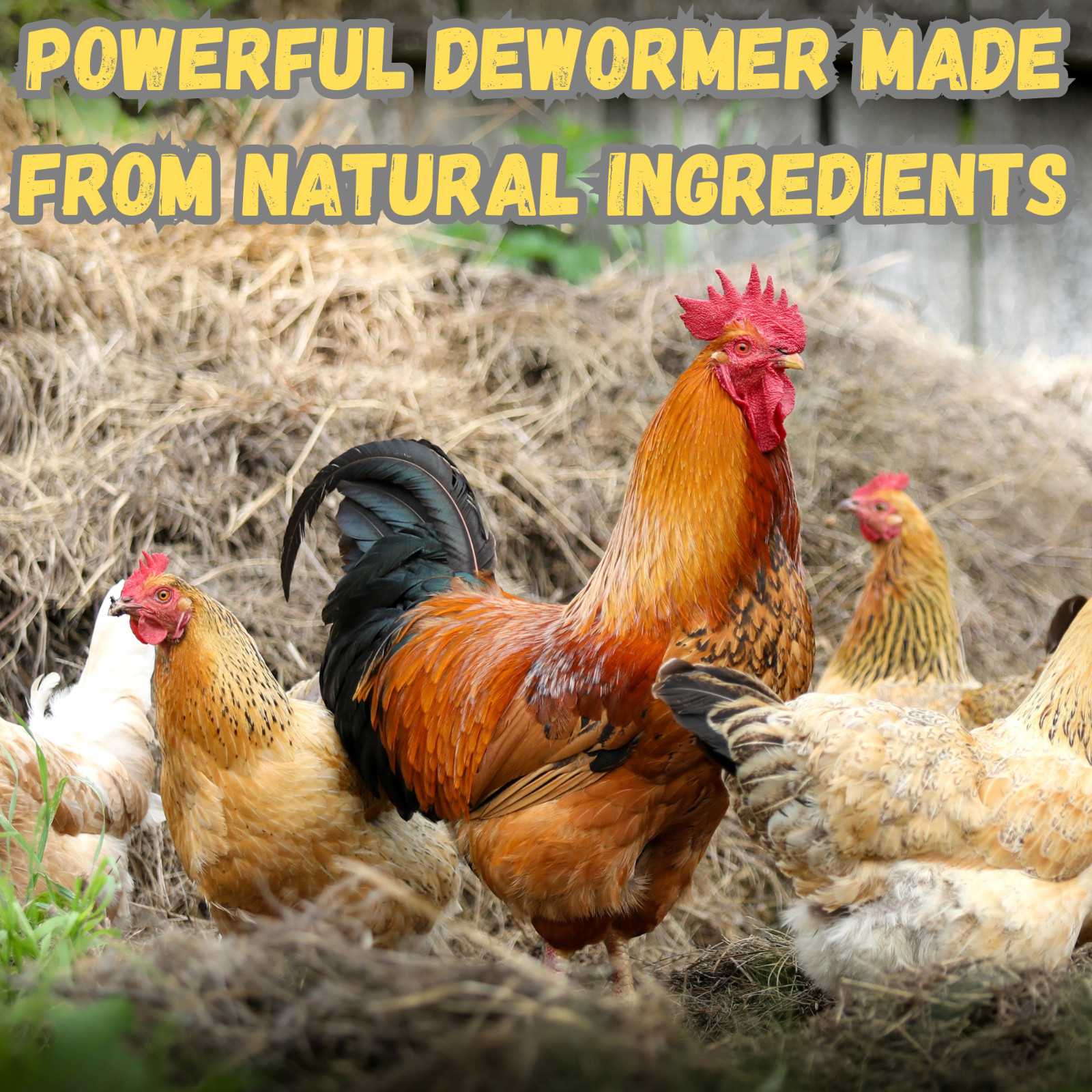 Chicken Poultry Dewormer Powder All Natural Plant Based Duck Birds 200g Bag