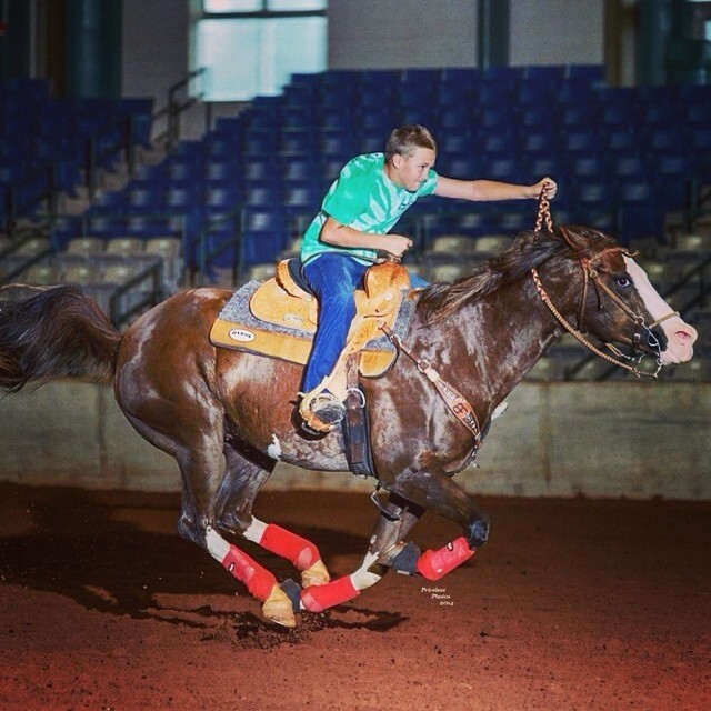 Horse Protective Sport Boots - Extreme Vented - Fronts - 3 Sizes - 7 Colors