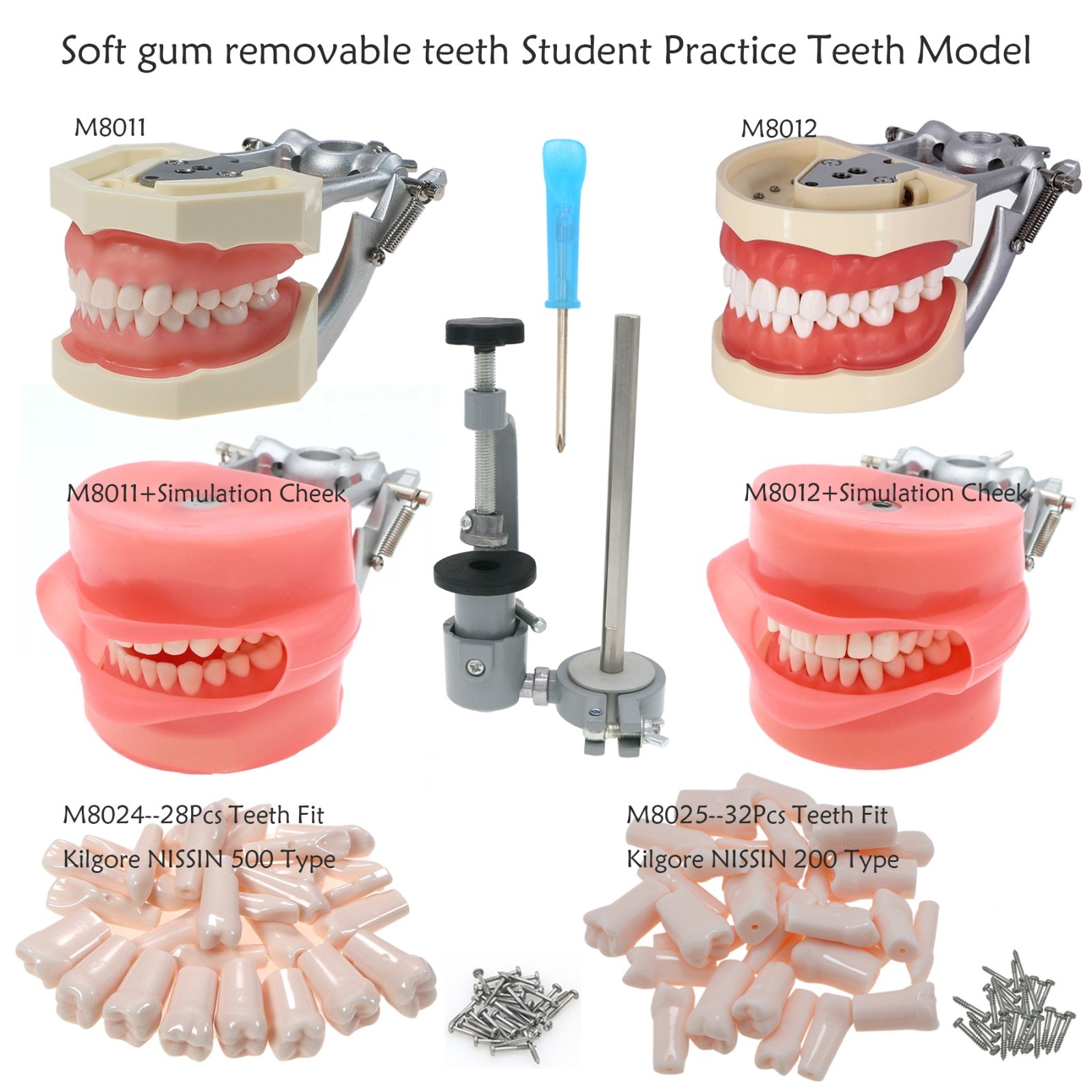 Kilgore Nissin 200/500 Dental Typodont Removable Screw-in Teeth Model Mount Pole