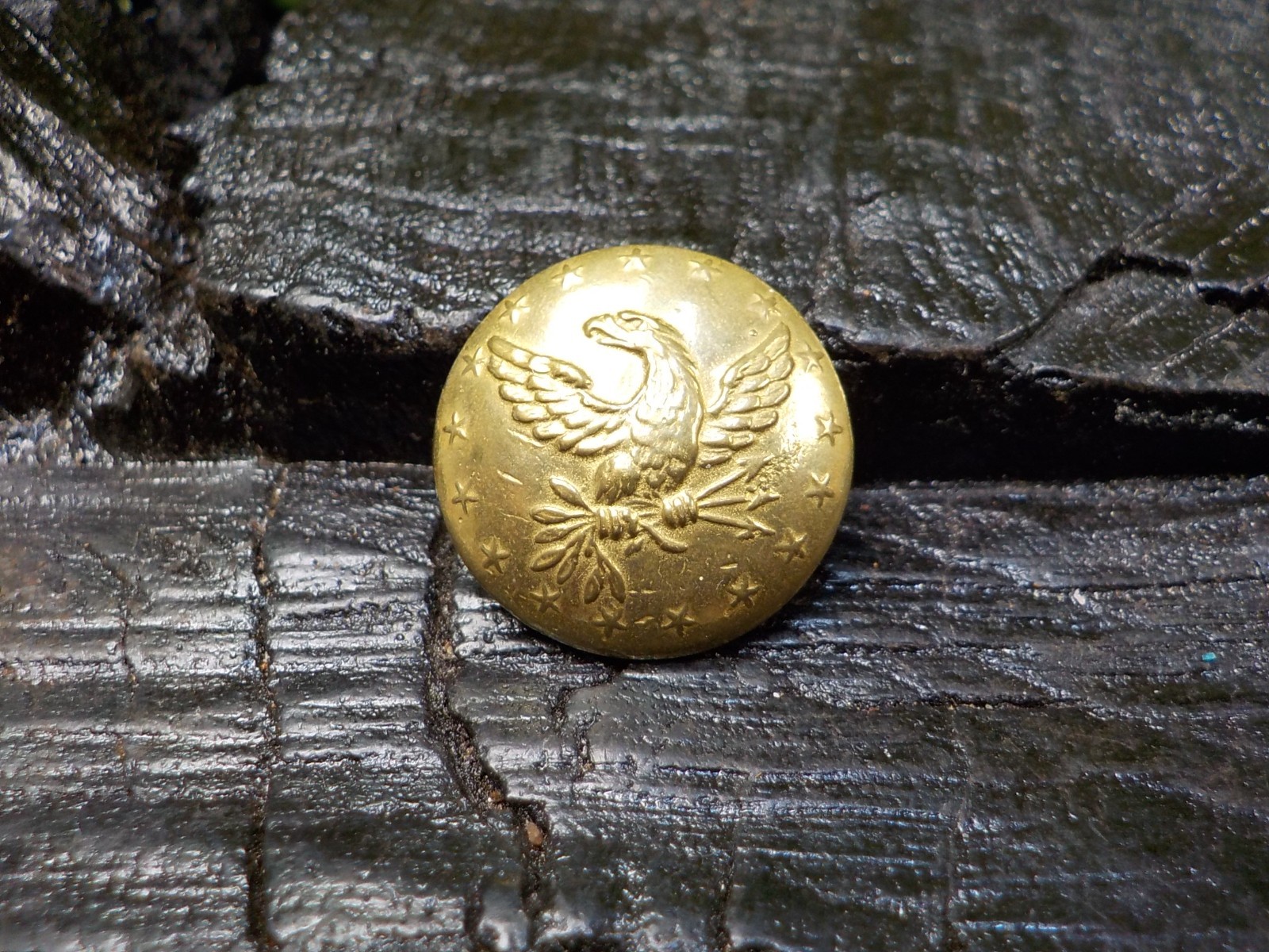 Old Rare Vintage Antique Relic Pre Civil War Militia Officers Coat Button w/Gold