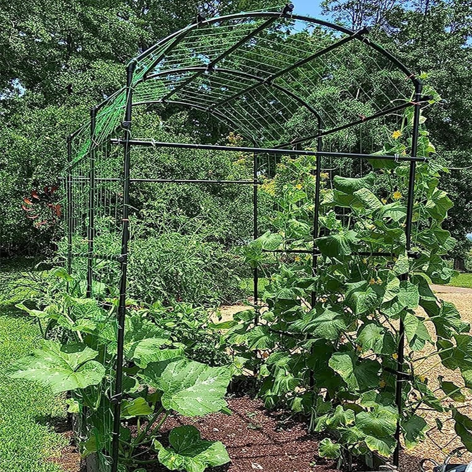 Barbella Garden Arch Trellis Metal Plant Support Trellis Archway for Climbing