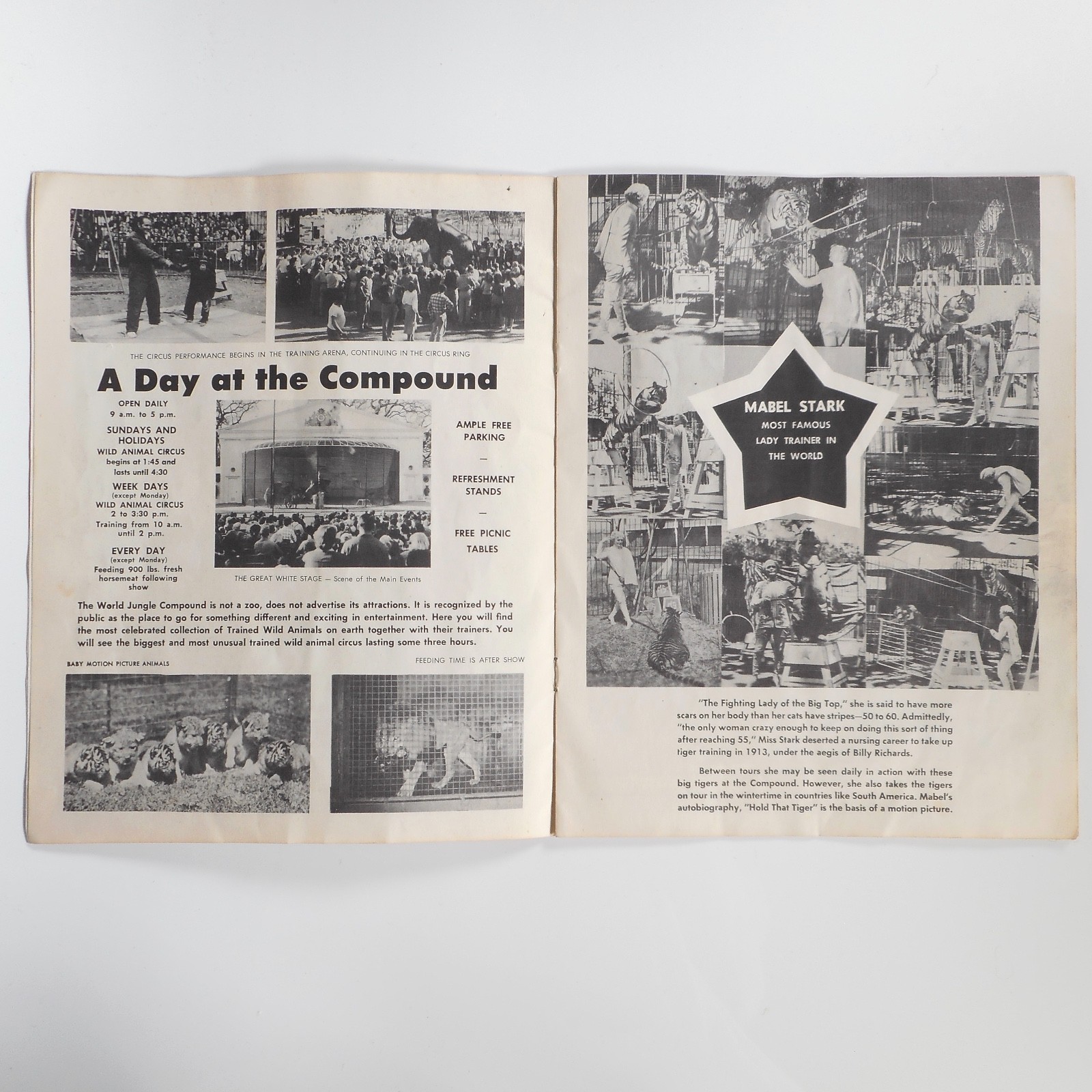 VTG 1953 Jungle Land World Compound Program Mabel Stark CA MGM Circus Lions RARE