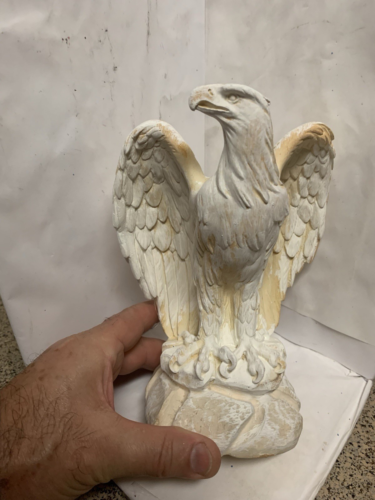 LATEX RUBBER MOLD + Fiberglass Glass Casing Of An Eagle, Bird YKM-L5118A