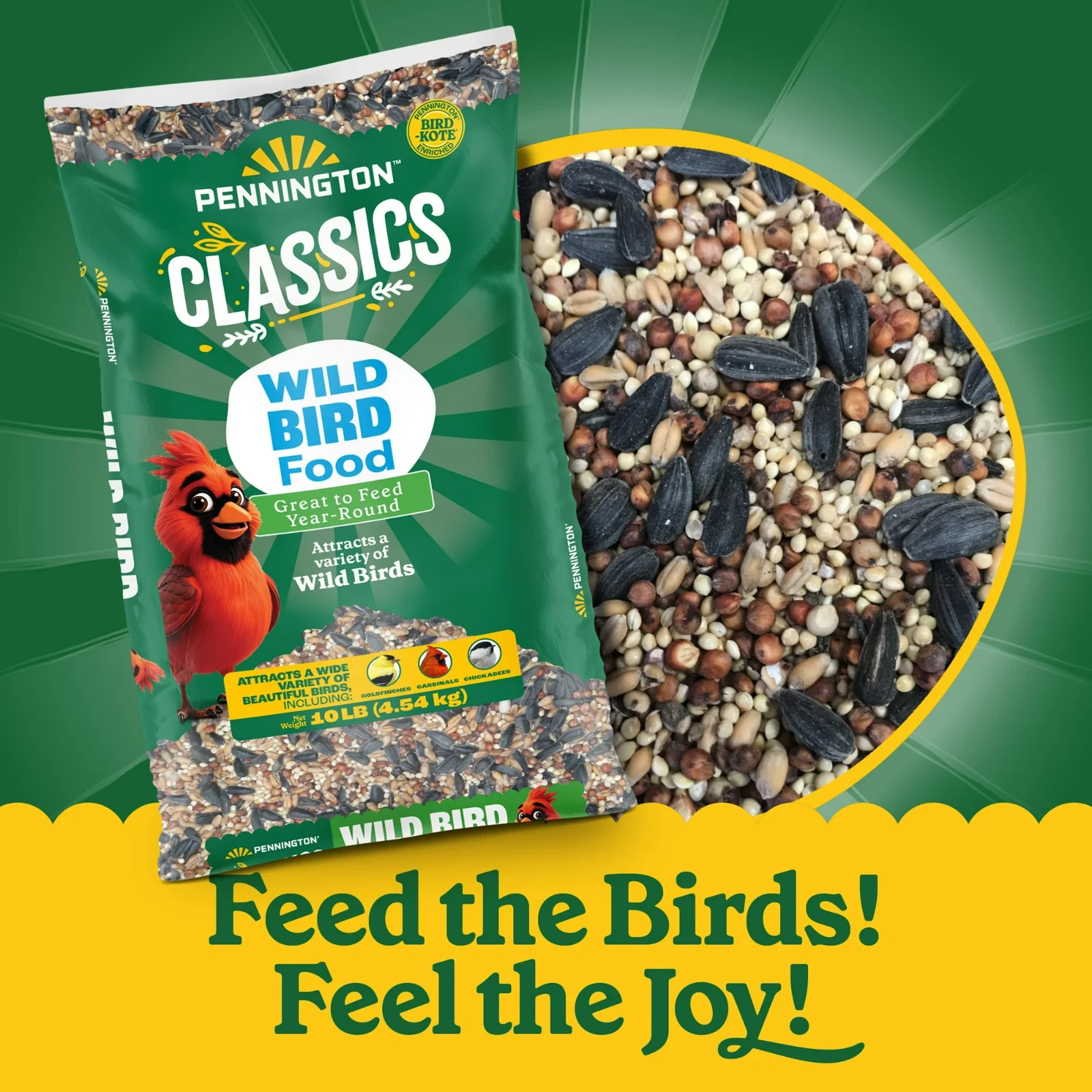 Pennington Classic Dry Wild Bird Feed and Wild Bird Seed, 10 lb. New Bag, 1 Pack