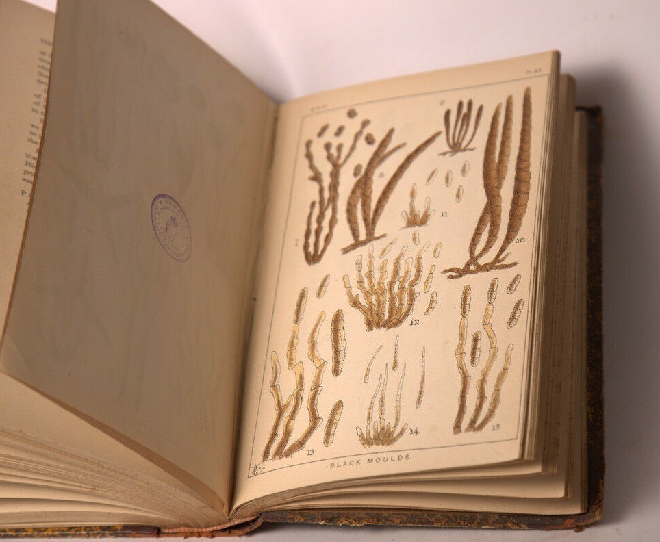 1877 quekett microscopical club ANTIQUE book journal vol.4