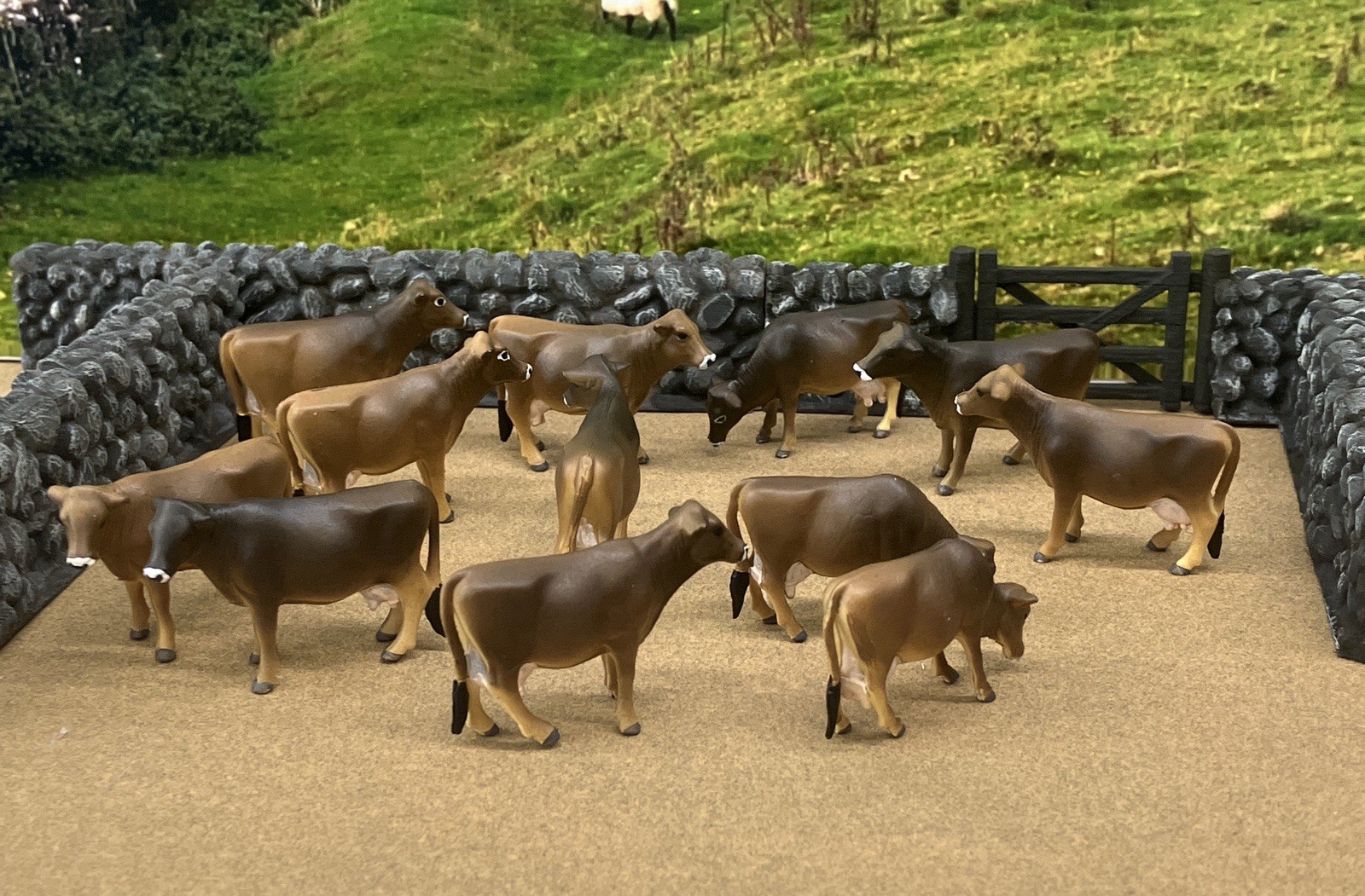 Custom CM Ertl 1:64 Lot Of 12 Jersey/Brown Swiss Milk Cows Cattle Farm Scene