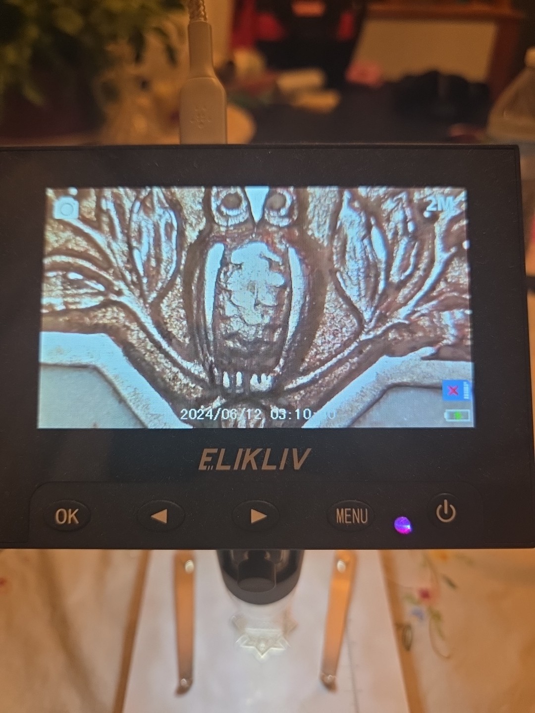 Soule College Medal Silver EARLY 20TH Century From NEW Orleans, USA Owl Torch