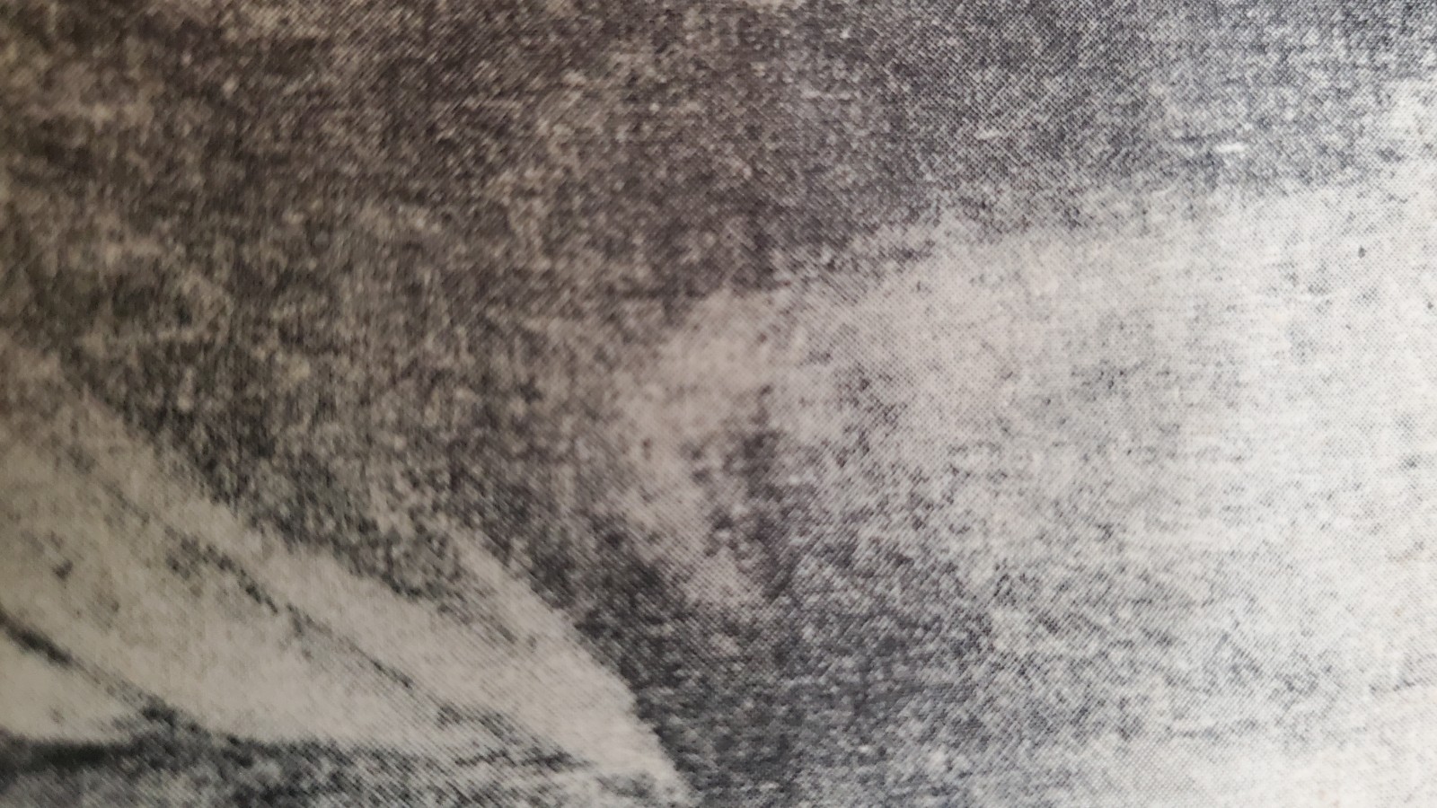 VTG Charles Wilbert White Lithograph Ye Shall Inherit The Earth " 1953 Signed