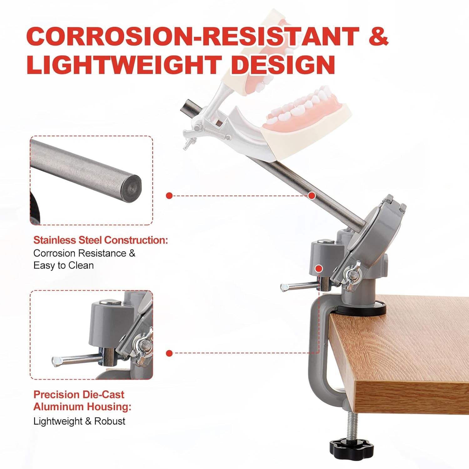 Dental Typodont Mounting Pole 360° Rotating Dental Simulator not Teeth Model