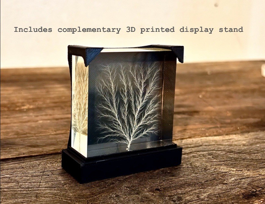 Frozen Lightning / Lichtenberg Figure 2" x 2” x 0.75" Physics Sculpture