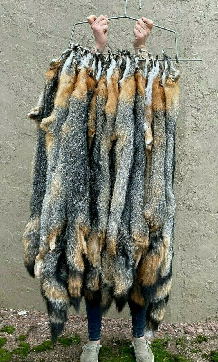 Tanned Grey Fox Winter “Heavy Fur” Northeast US, Gray