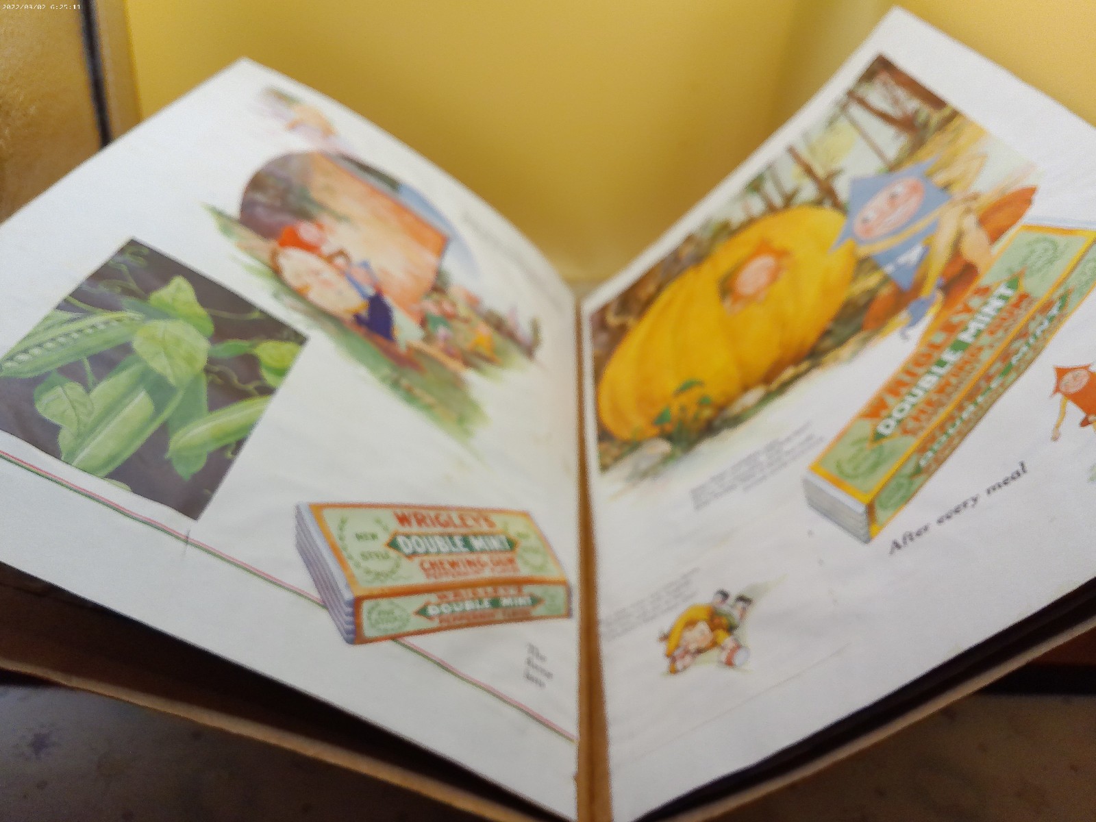 Mother Goose up to date Wrigleys gum ads 1920s era scrapbook filled with ads