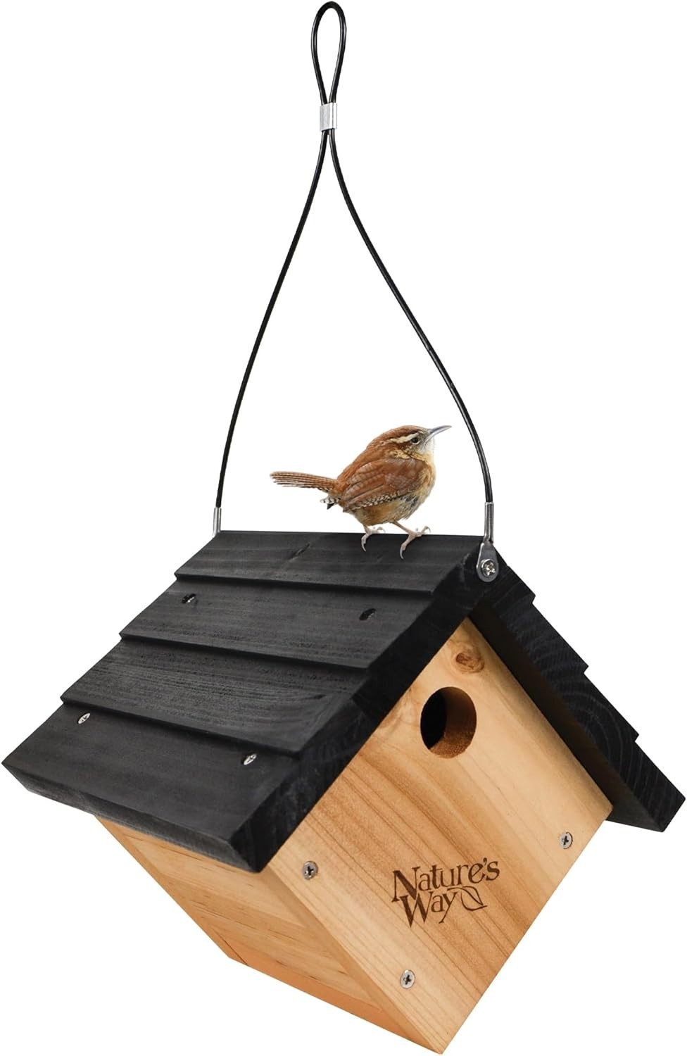 Attractive Cedar Birdhouse with Ventilation & Clean-Out Doors - 8" x 8.875"