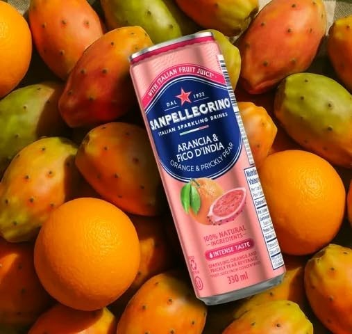 San Pellegrino Sparkling Fruit Drink 24 pack Variety 11.15oz Cans 4 Flavors