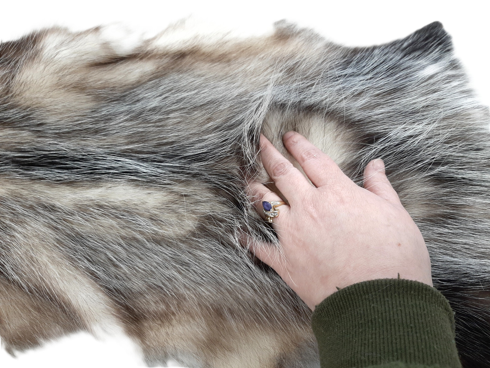 Opossum, Open Tanned-VERY Well Furred