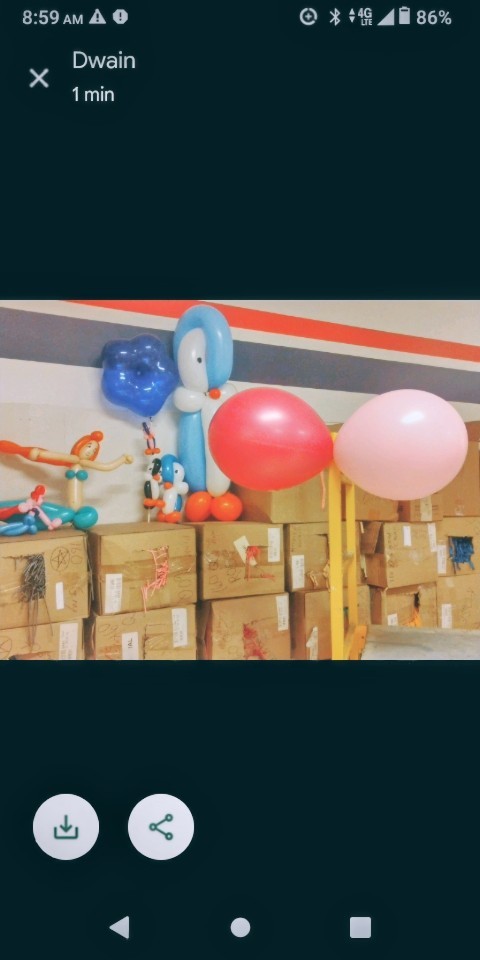 Qualatex Pink & Blue 16"(50) Great 4 Decorating 2nd's some have Slight Color Run