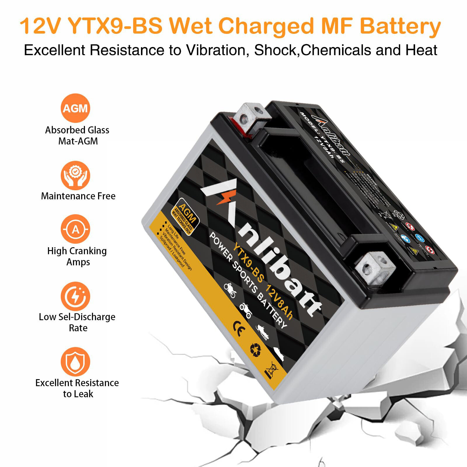 YTX9-BS Motorcycle AGM Battery 12V 8Ah 160CCA Maintenance Free for ATV Scooter