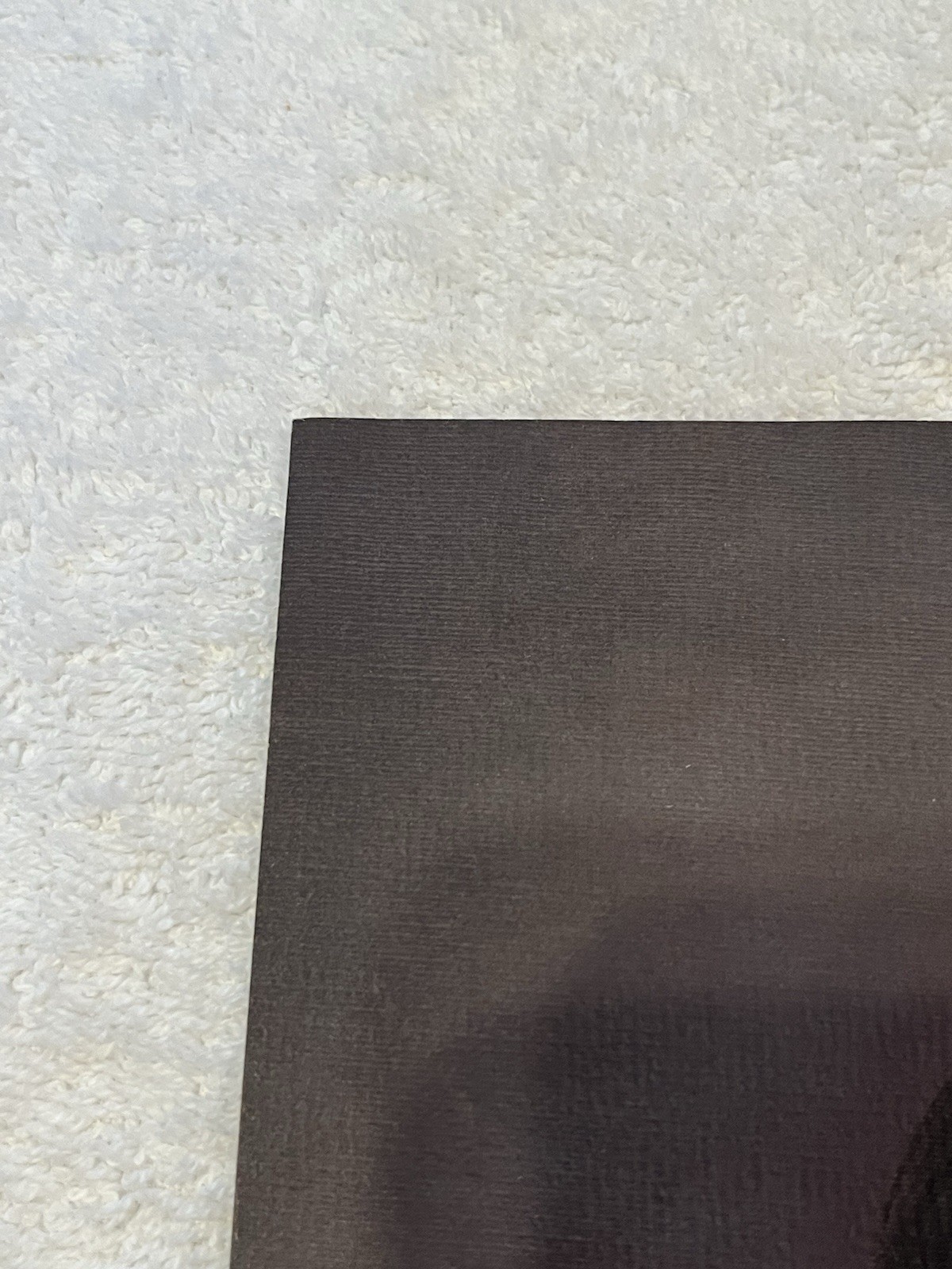 ELVIS PRESLEY 17 x 11 Poster Print by Loxi Sibley 1976 Concert Boxcar Excellent