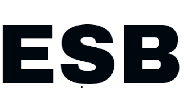 ESB Tanning Bed Shocks/ Gas Springs