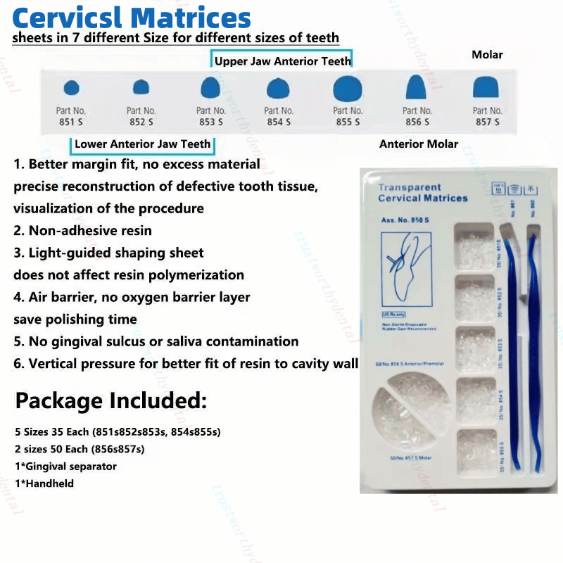 Dental Transparent Cervical Matrices Composite Gingival Retractor Clear Matrix