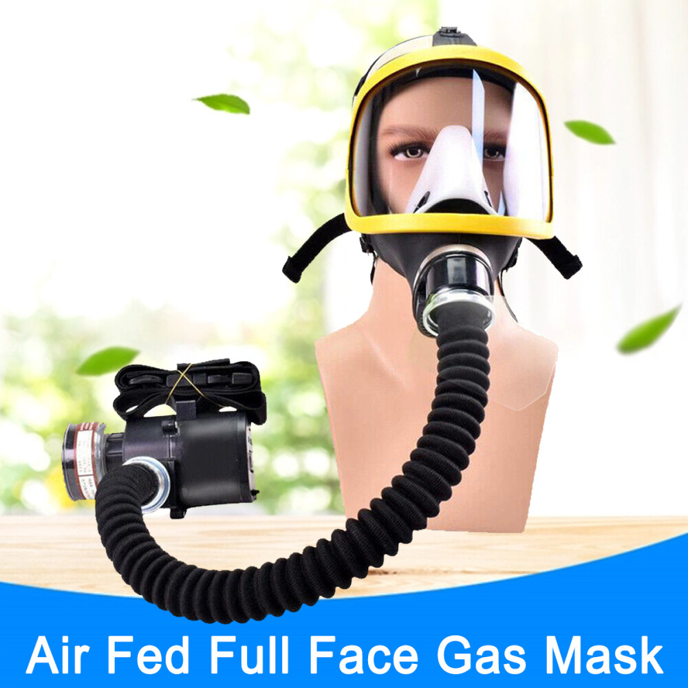 Electric Full Face Gas Mask Constant Flow Respirator Supplied Air Fed System