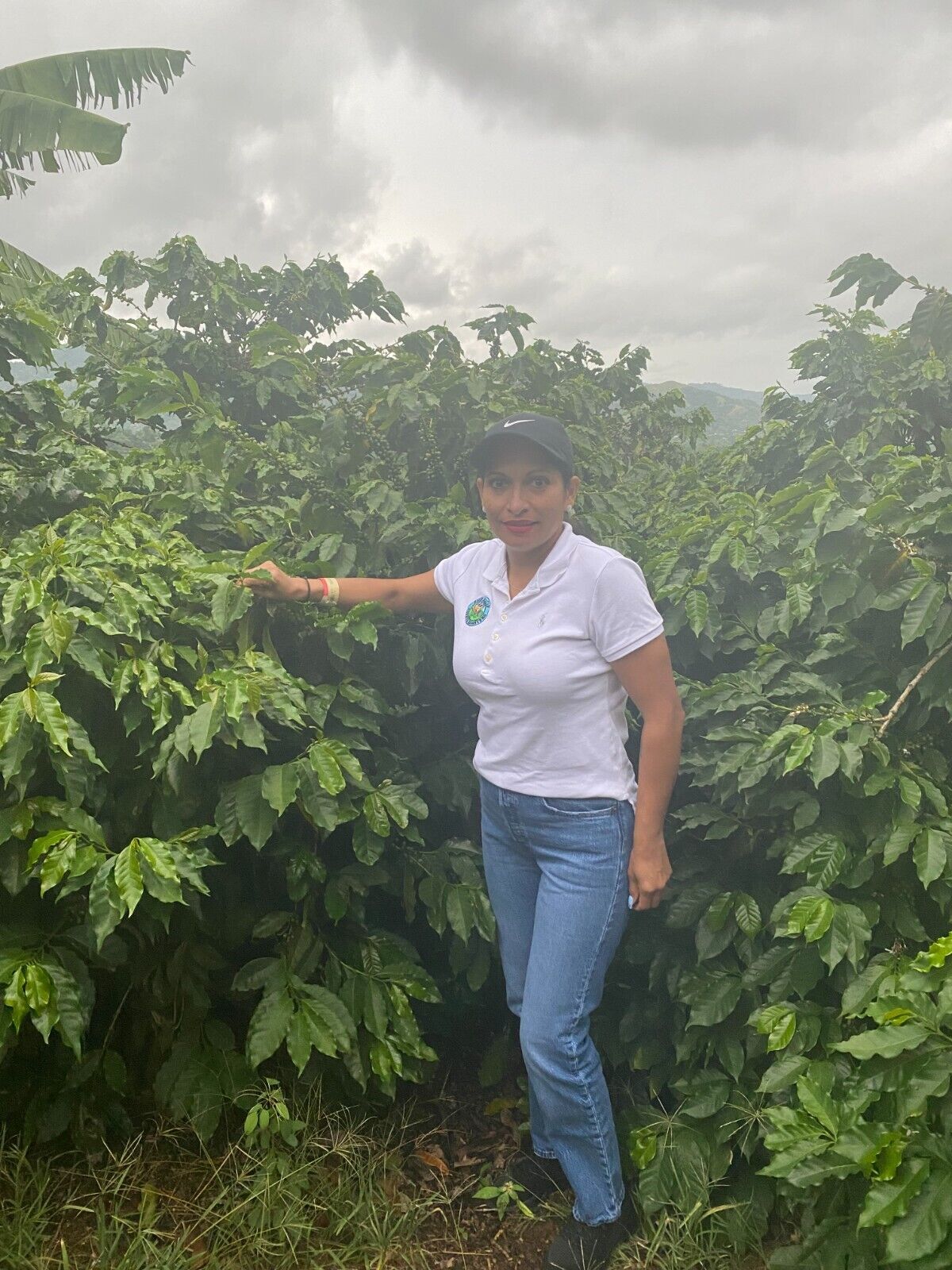 ETHIOPIAN YIRGACHEFFE COFFEE BEANS MEDIUM ROASTED 5 POUNDS