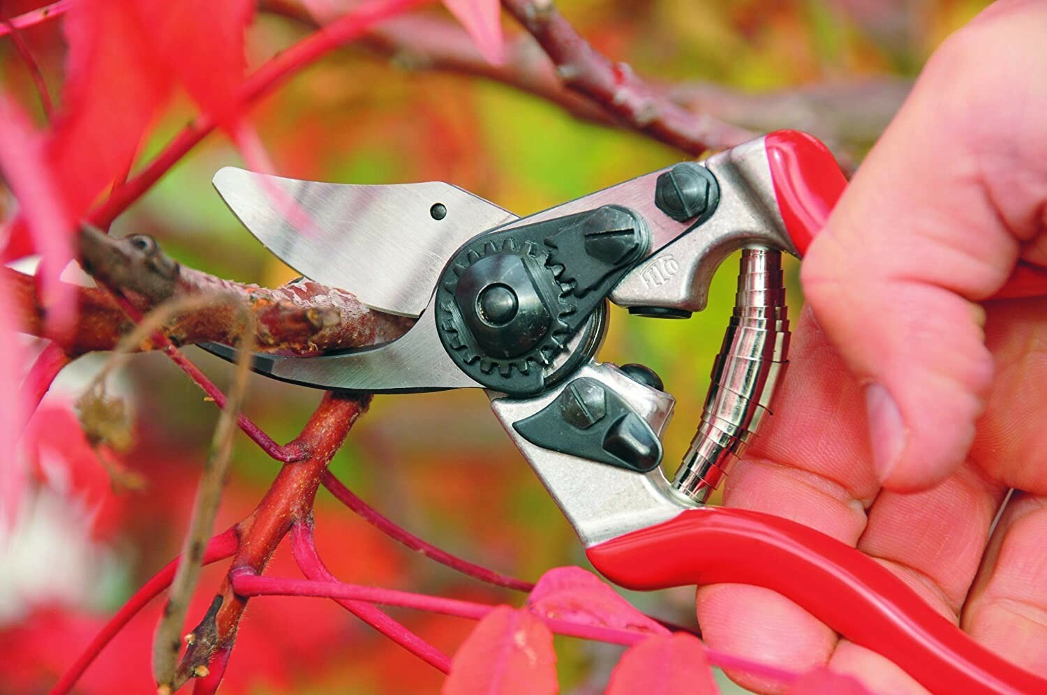 Felco 6 Pruner Swiss Made Pruning Shear Red Shears New F6