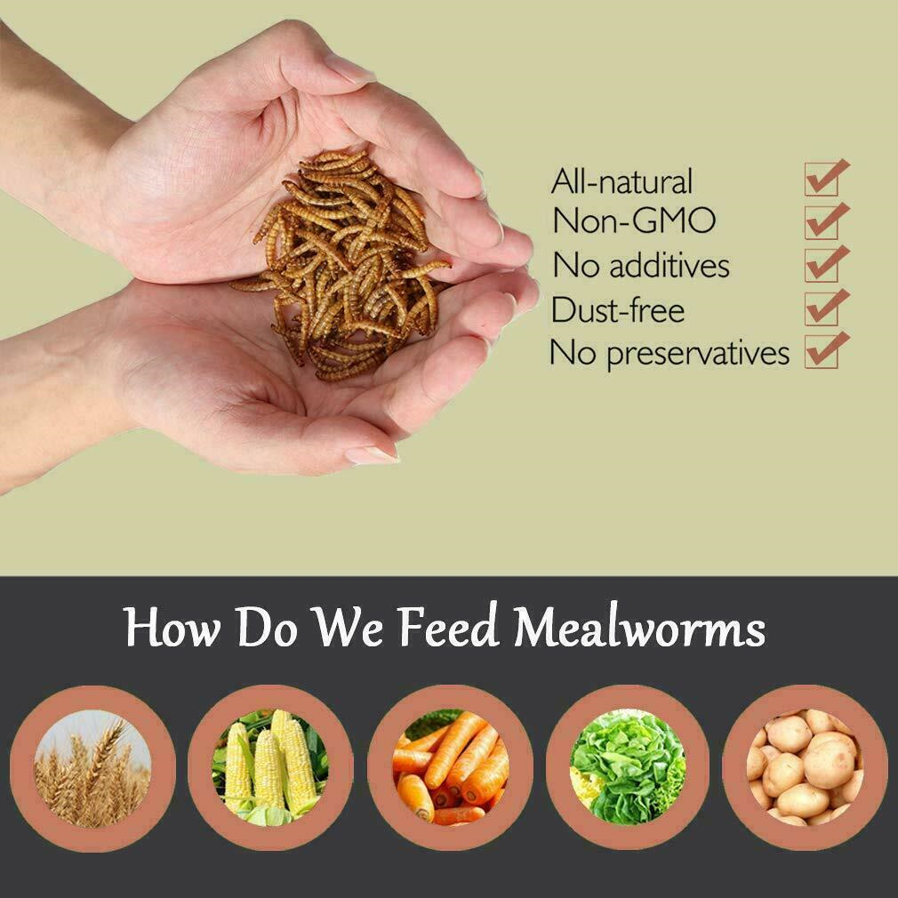 LOT Dried Mealworms Non-GMO Fit Wild Birds Chickens Hen Fish Reptile 0.6-44 LBS