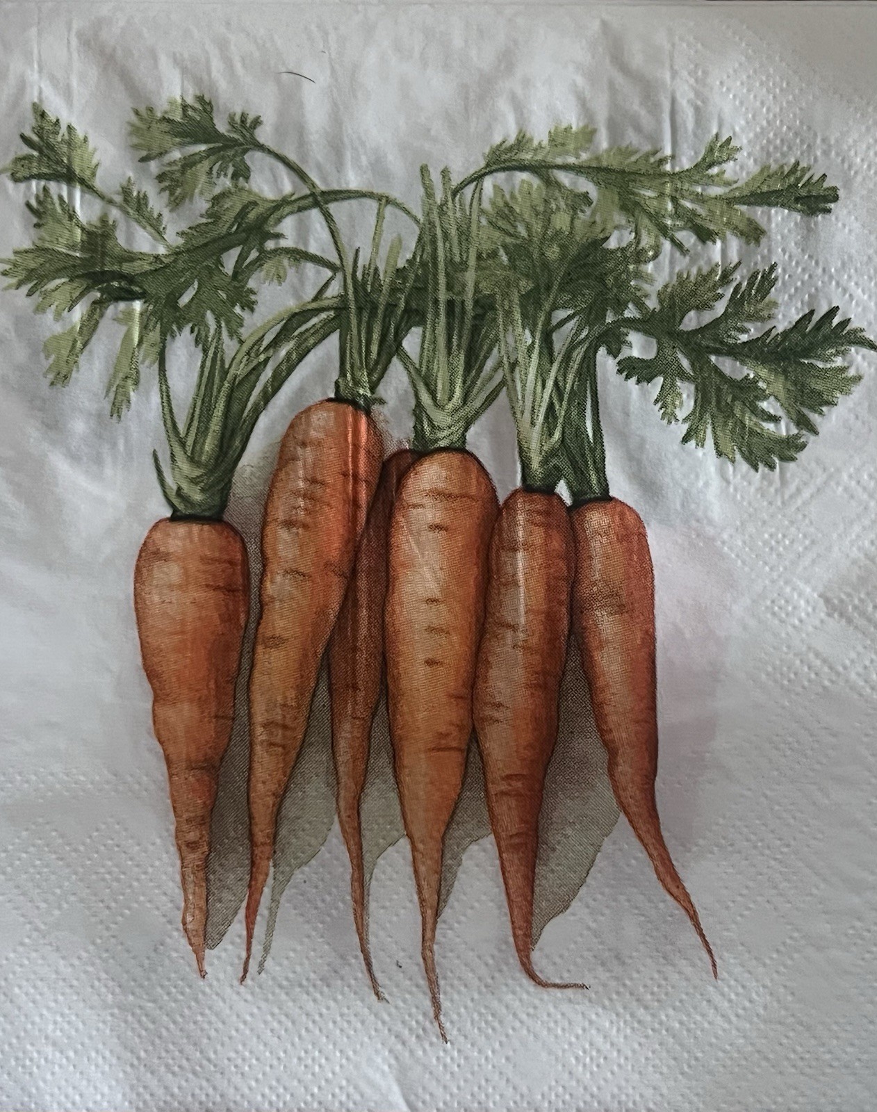 Two  Paper LUNCHEON Decoupage Art Craft Napkins Spring Easter Bunny Carrots 6.5