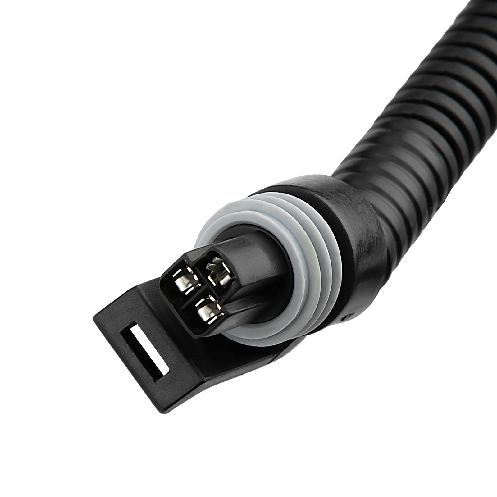 Standalone Harness For T56 Manual Tran 4.8/5.3/6.0l Ls Swap Ls1 Engine 97-06 Dbc